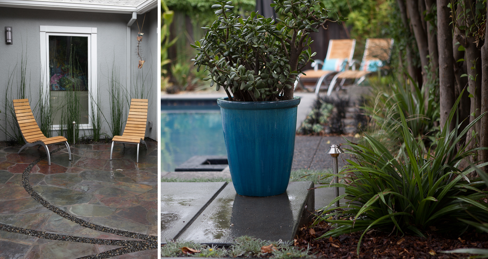 Mott Landscape | Redwood City, California | Photo number 1