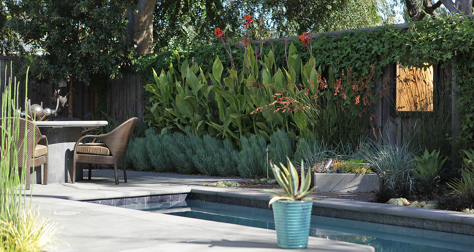 Mott Landscape | Redwood City, California | Photo number 3