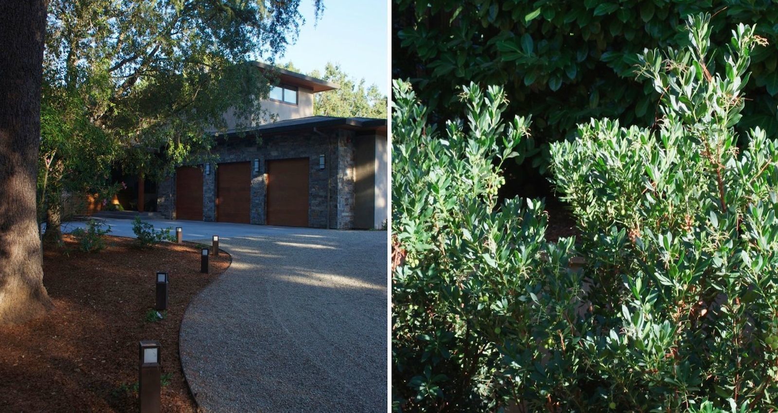 Mott Landscape | Saratoga, California

 | Photo number 2