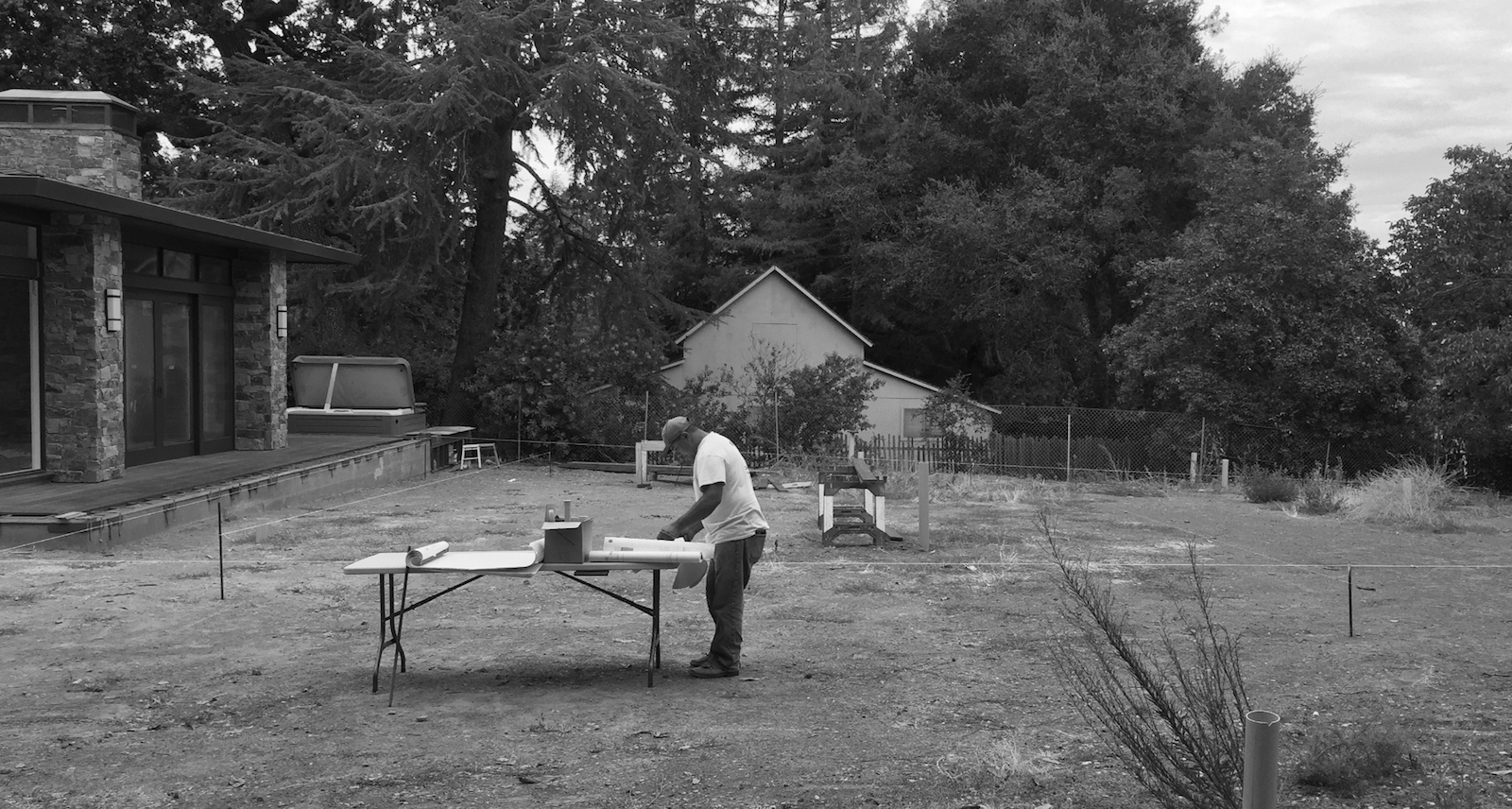 Mott Landscape | Saratoga, California

 | Photo number 9