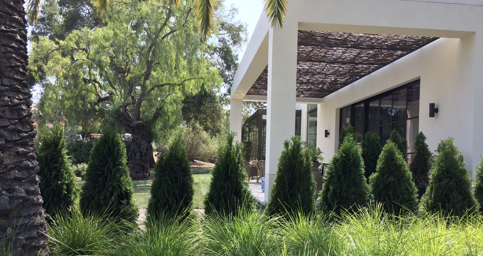 Mott Landscape | Los Altos Hills, California | Photo number 3