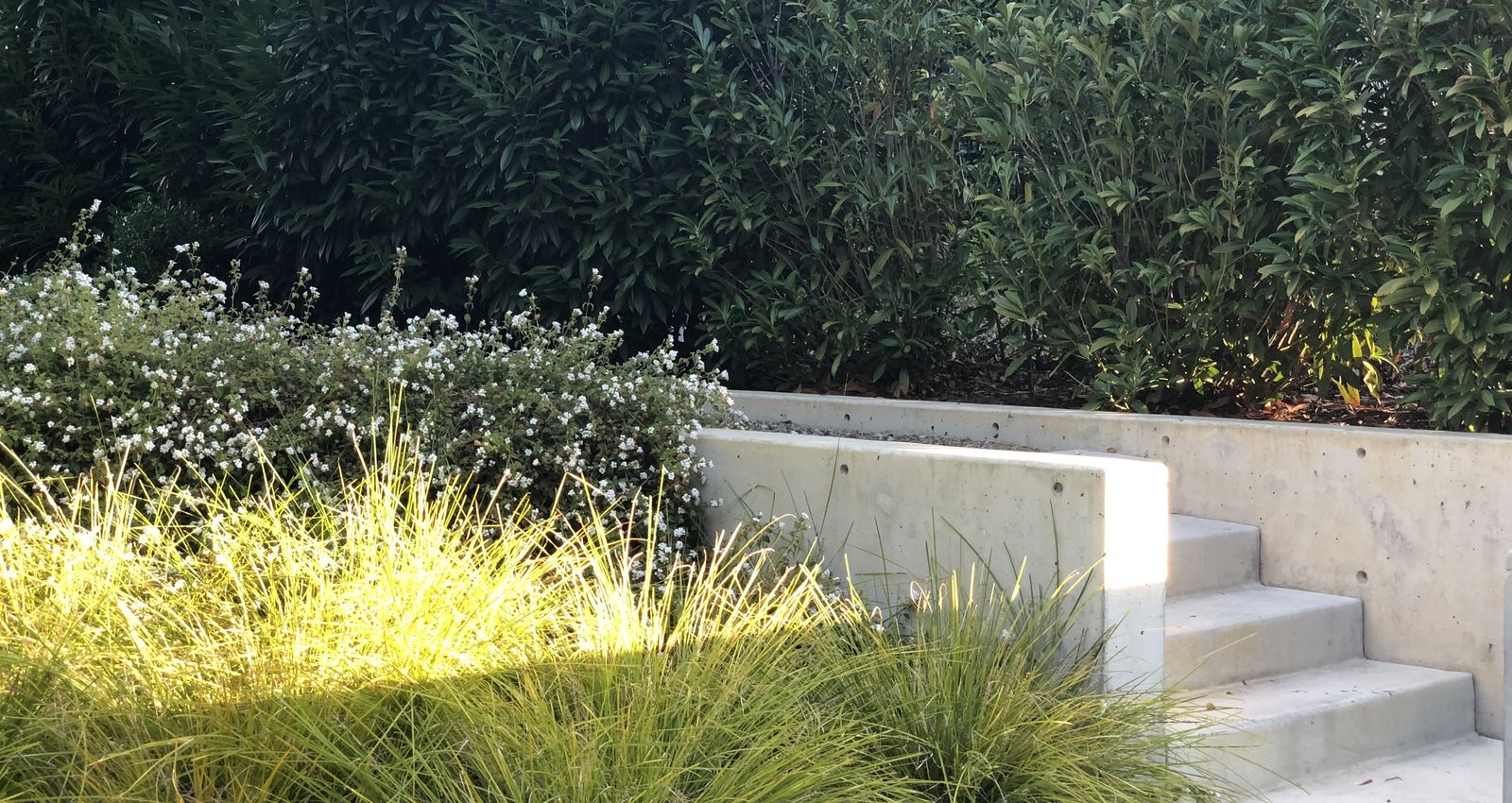 Mott Landscape | Los Altos Hills, California | Photo number 4