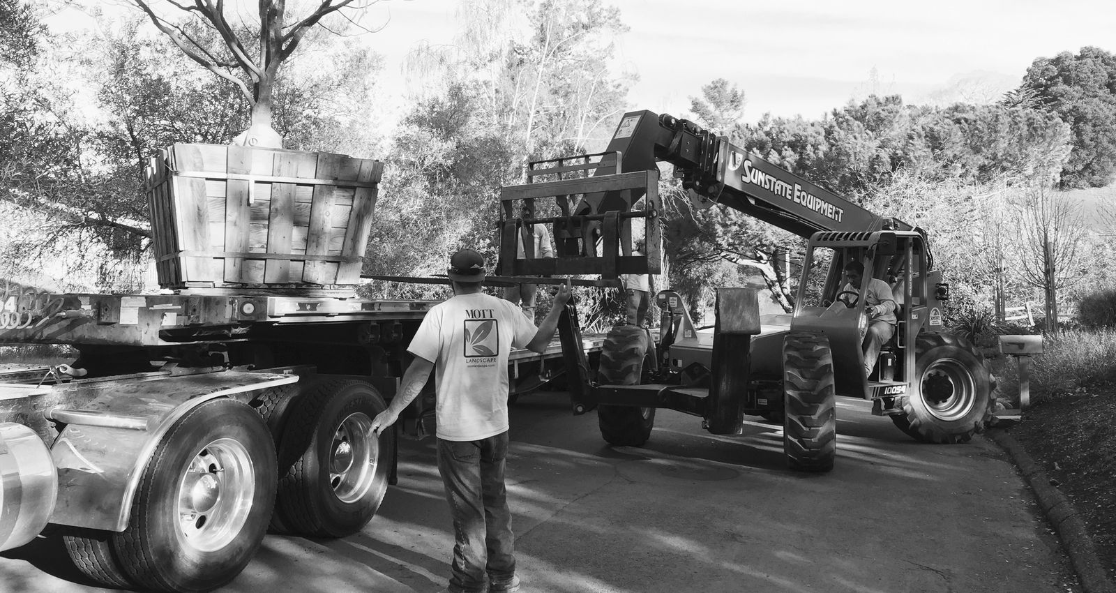 Mott Landscape | Los Altos Hills, California | Photo number 8