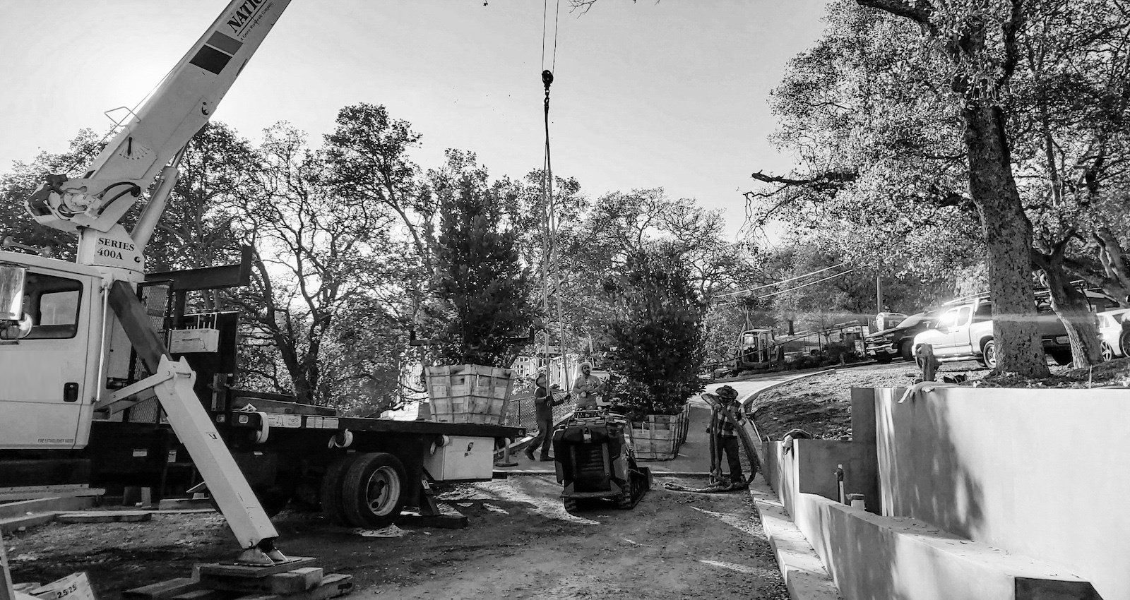 Mott Landscape | Los Altos Hills, California | Photo number 1