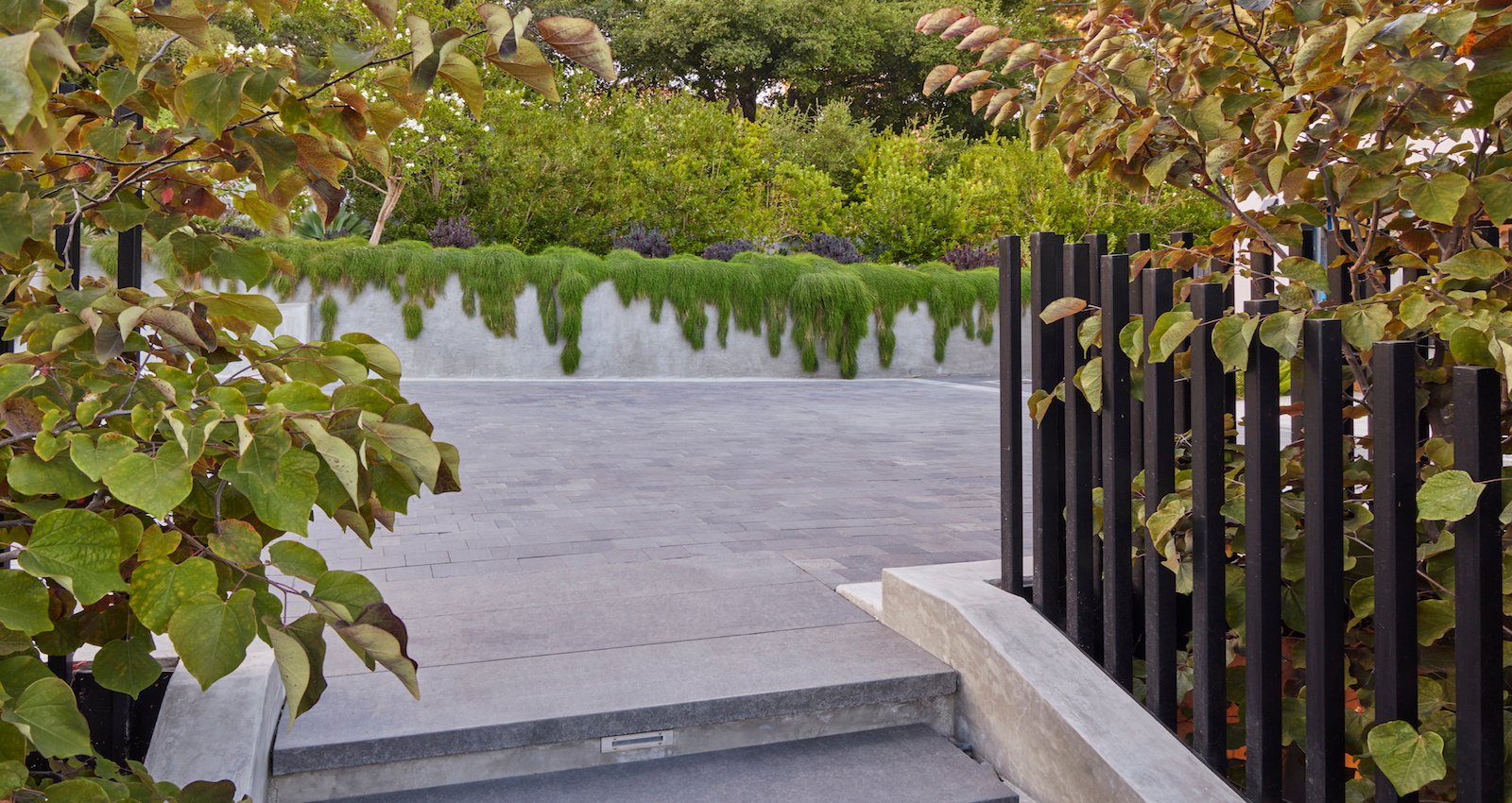 Mott Landscape | Los Altos Hills, California | Photo number 3