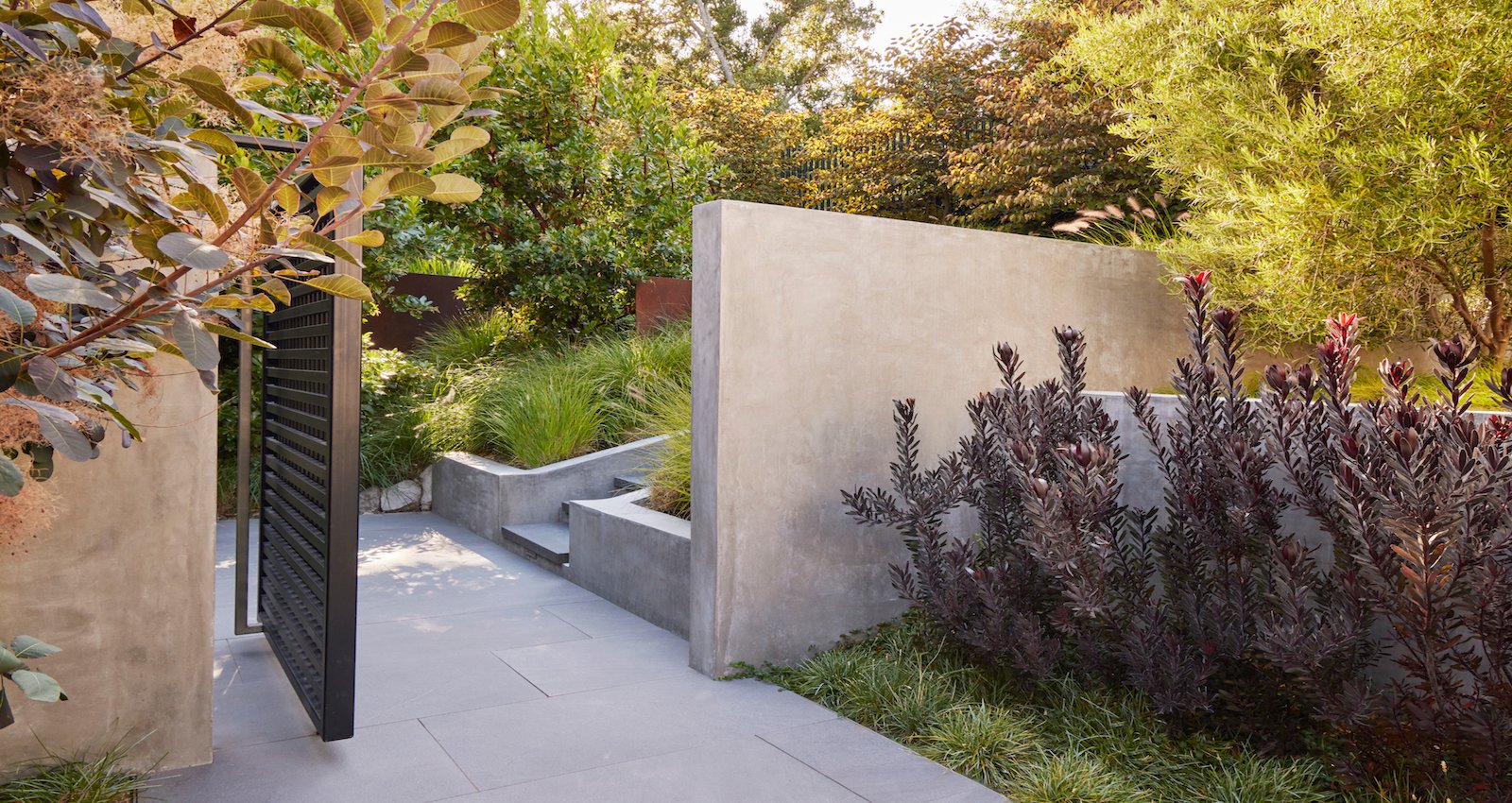 Mott Landscape | Los Altos Hills, California | Photo number 5