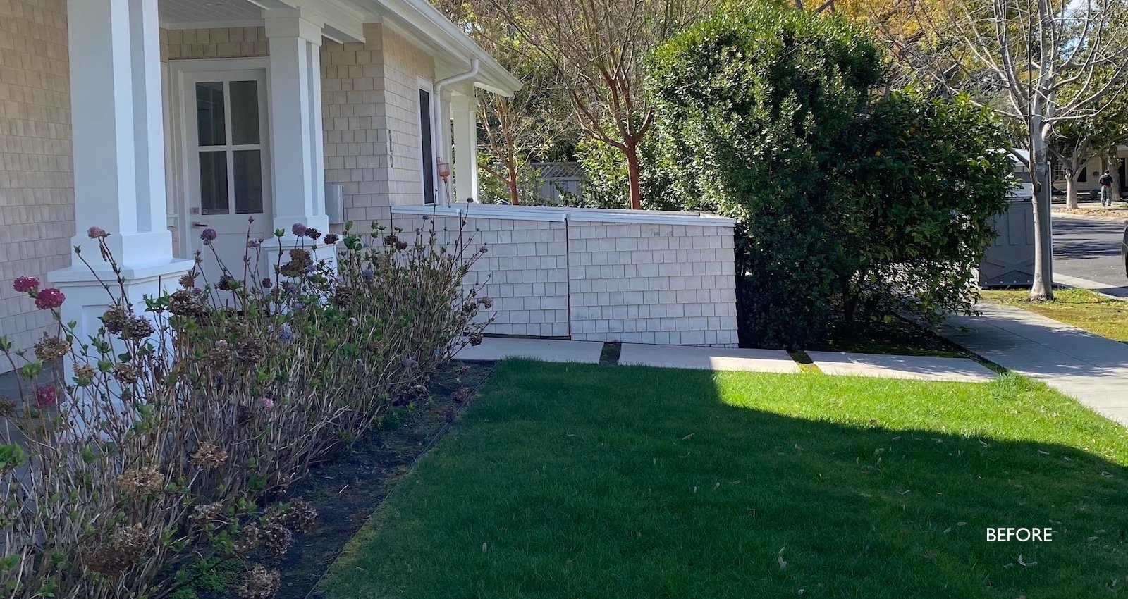 Mott Landscape | Old Palo Alto, California | Photo number 2