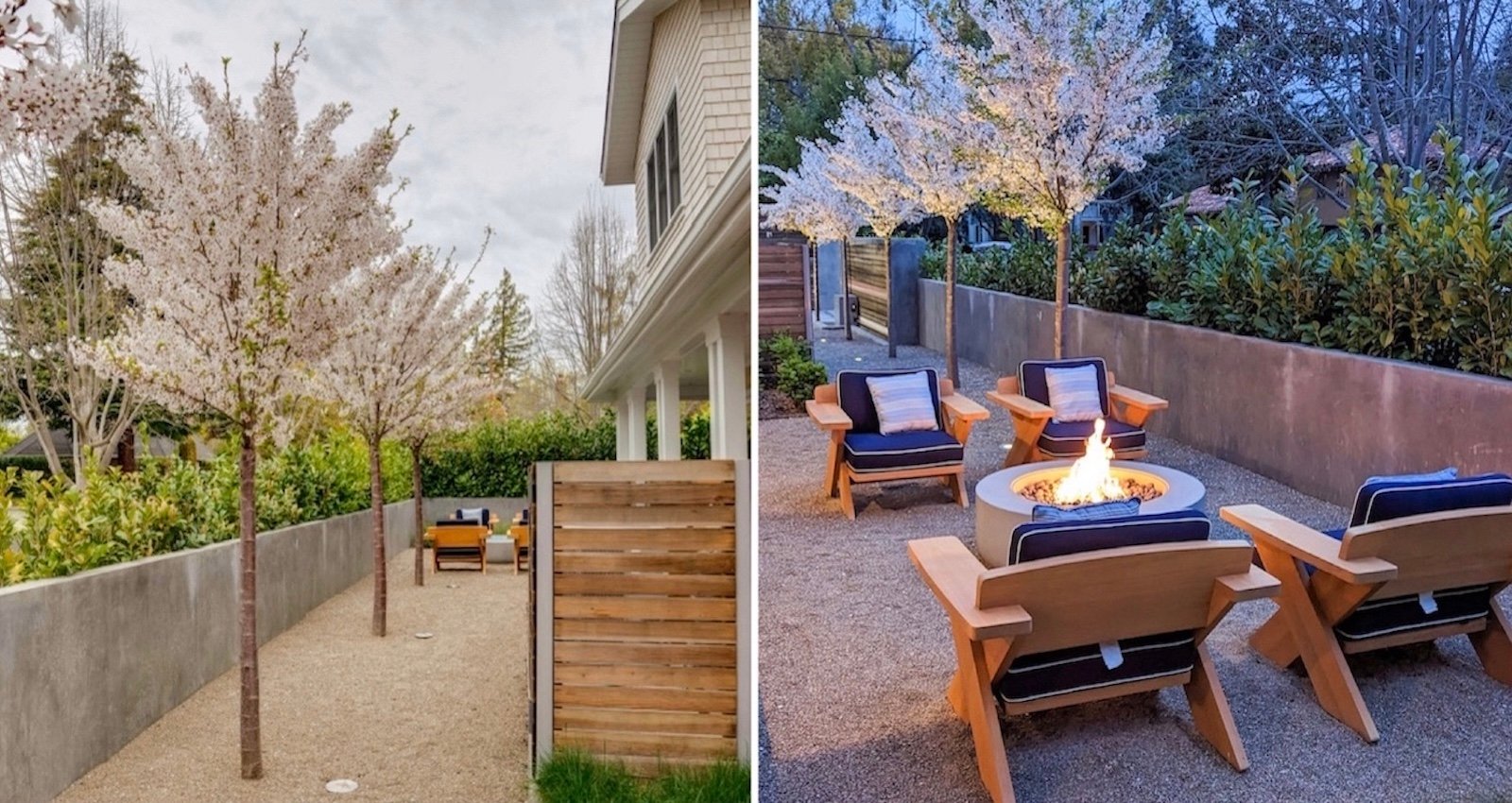 Mott Landscape | Old Palo Alto, California | Photo number 4